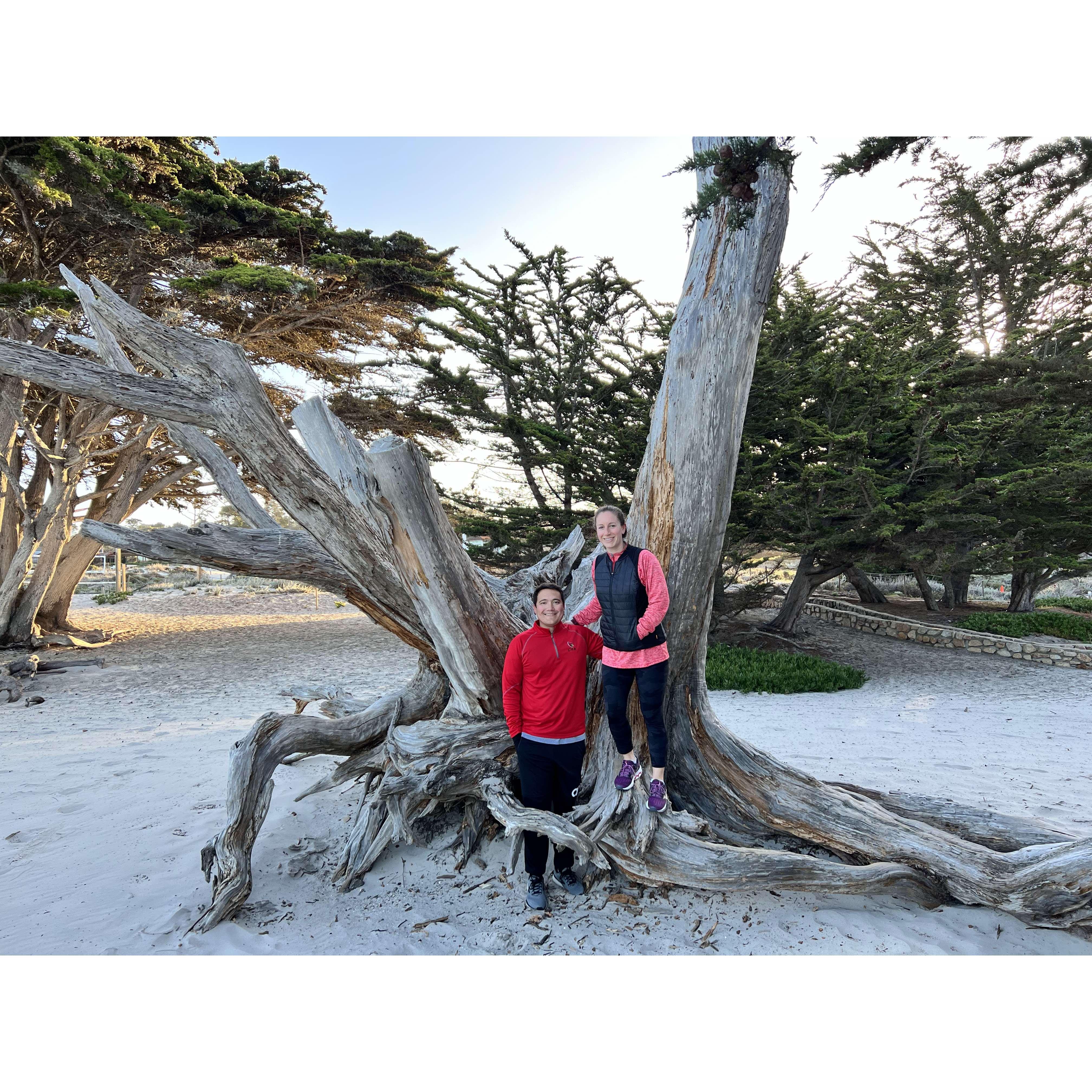 Carmel beach