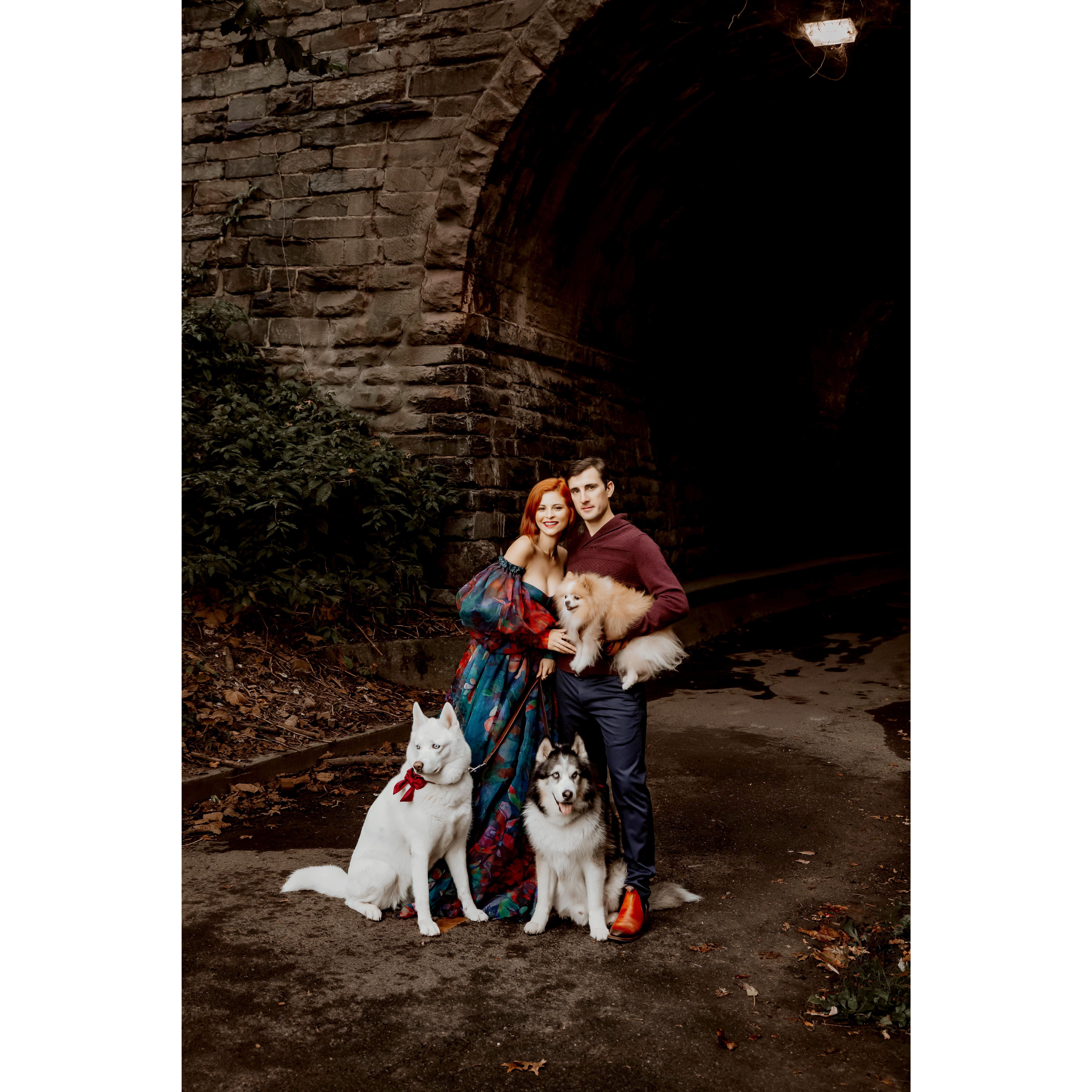With our Logan, Snow and Hazel in our first home: Old Town, Alexandria, Virginia.