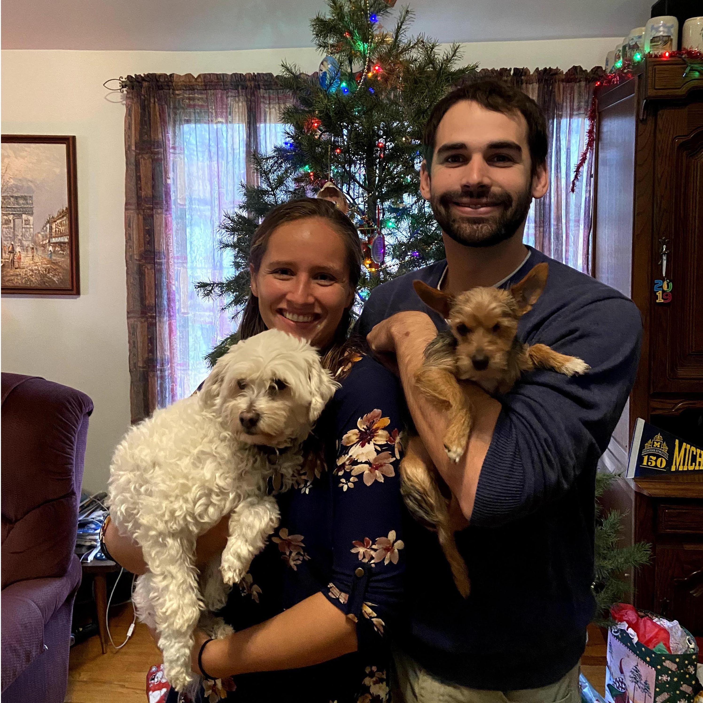 Our first Christmas with Luna's new sister Cookie.