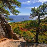Acadia National Park