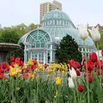 Brooklyn Botanic Garden