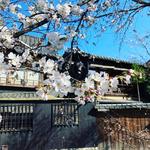 Gion Tanto