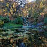 UC Botanical Garden