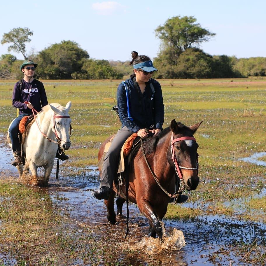 Our trip to Pantanal, the world's largest tropical wetland. It was a dream came true for Nathan, a zoologist at heart. (Summer 2019, Mato Grosso do Sul, Brazil)