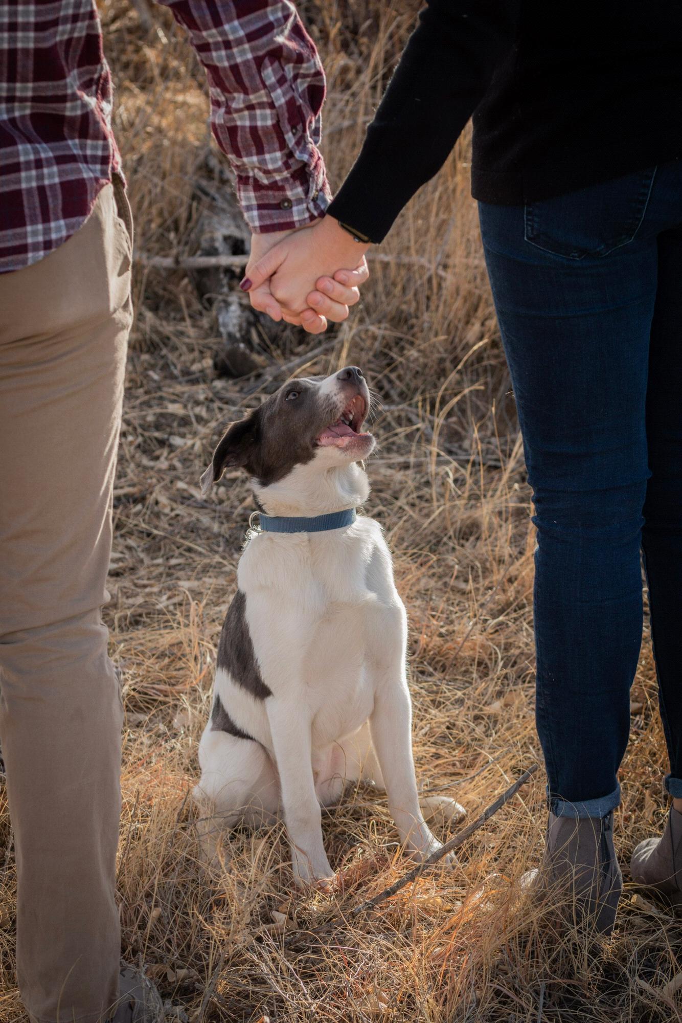 Our Bear, he’s a mountain cur rescued from Arkansas and adopted in Colorado at 4 months old. Amy Schaet gifted Sarah with this photo shoot for her 26th birthday.