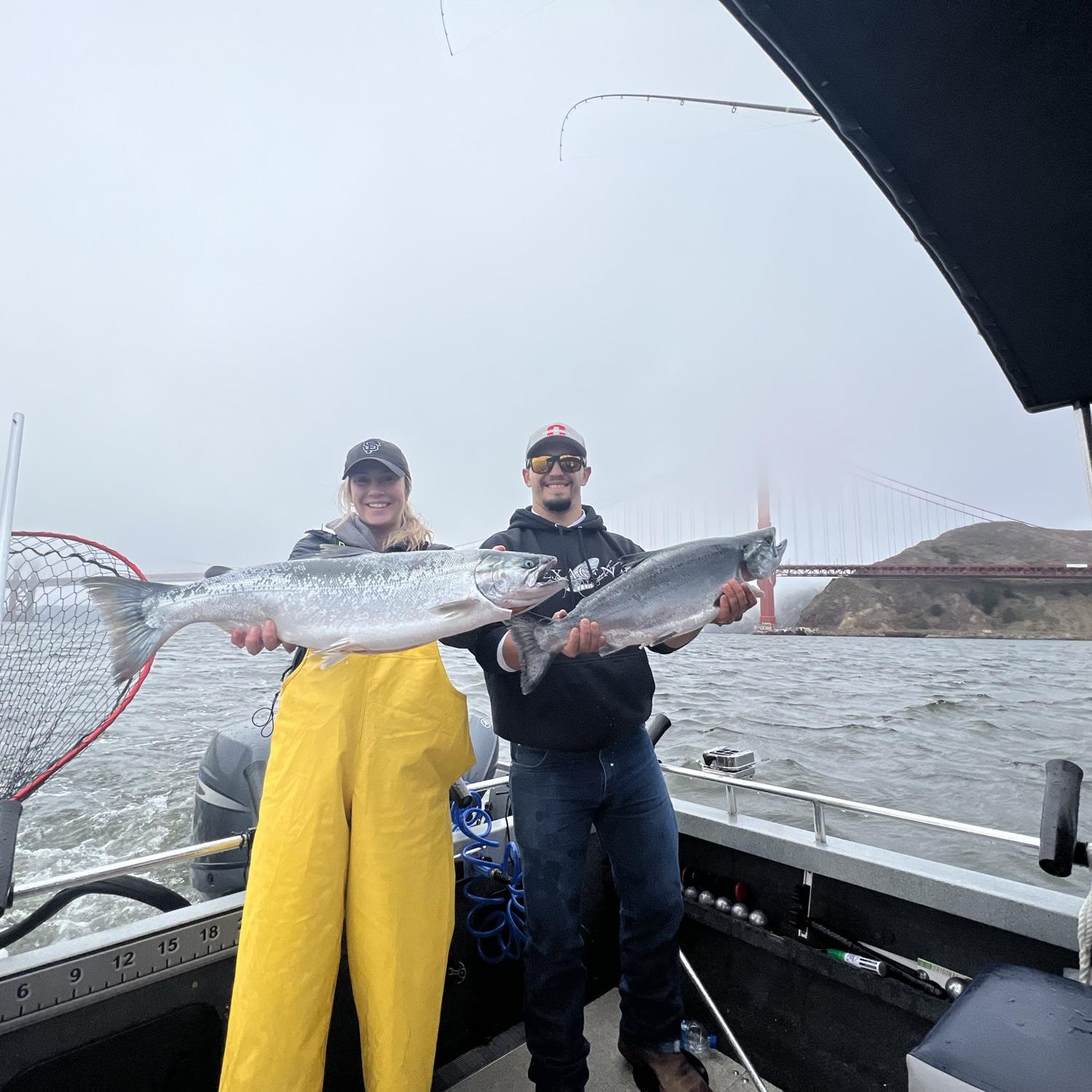 Catching hogs!!