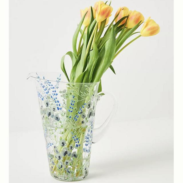 Anthro Pitcher