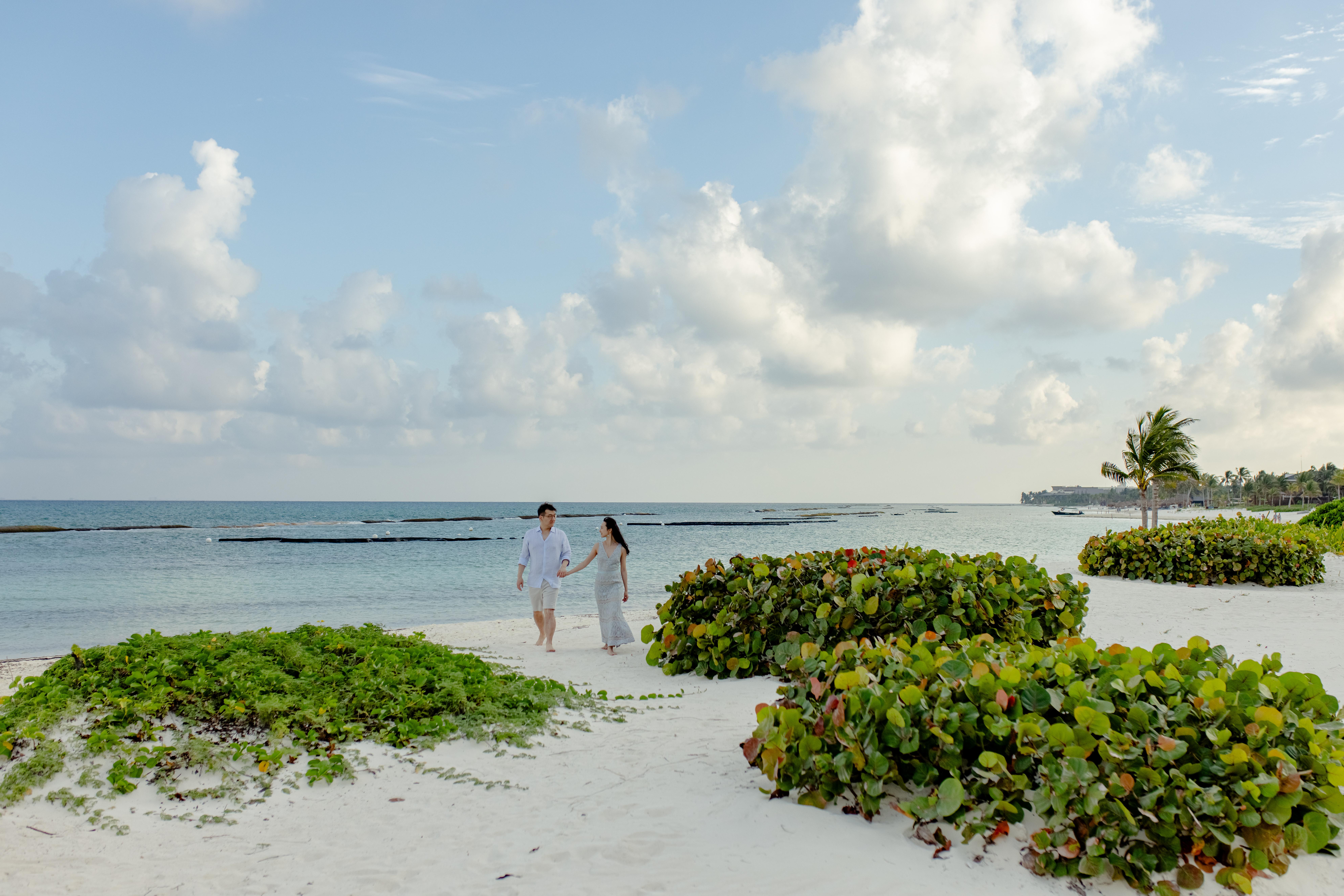 The Wedding Website of Eileen Xu and Ted An