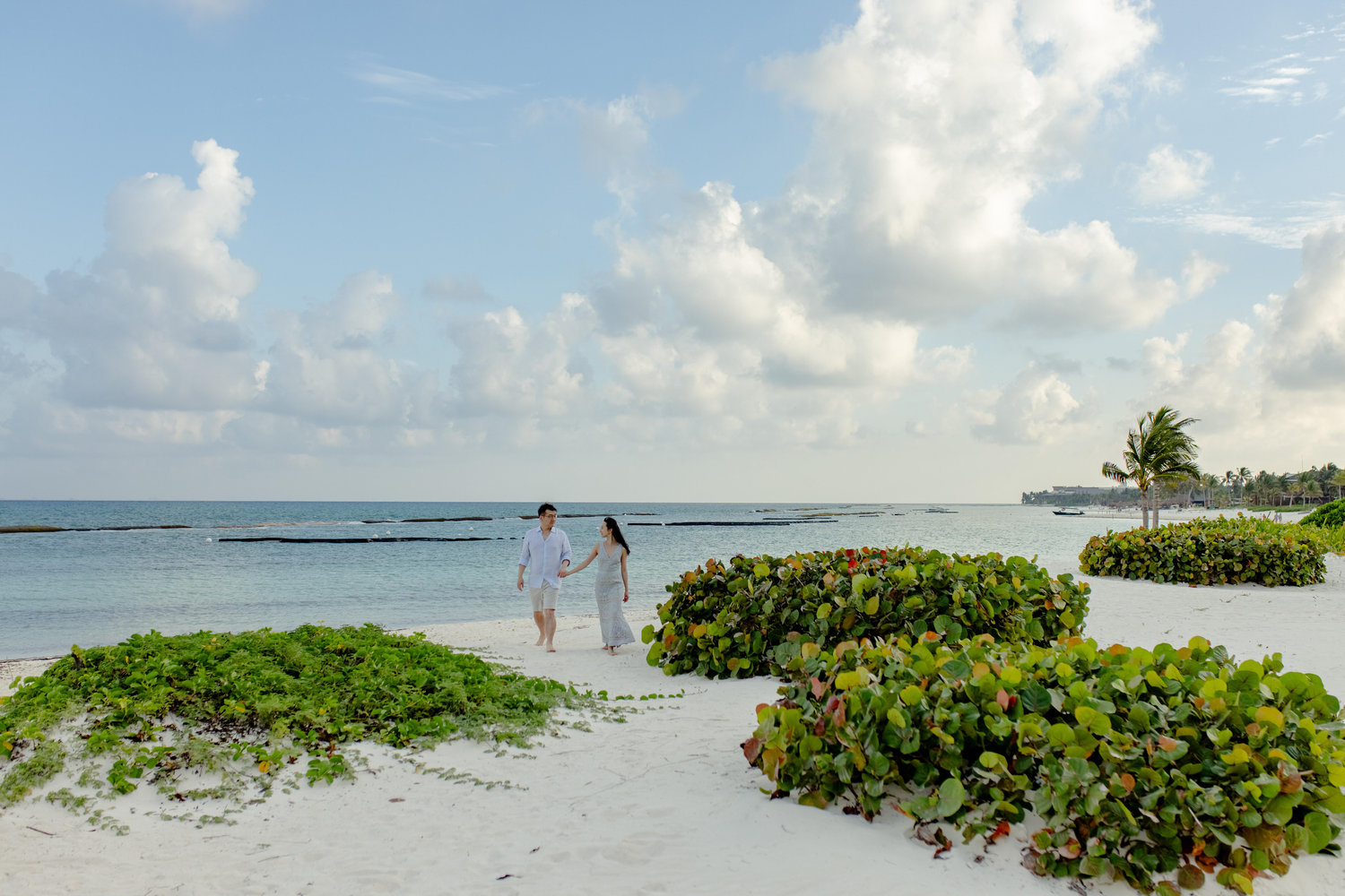 The Wedding Website of Eileen Xu and Ted An