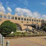 Fernbank Museum | 3D Theater | Forest