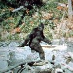 North American Bigfoot Center