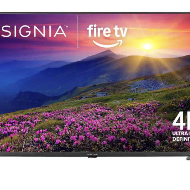 Insignia™ - 55" Class F50 Series LED 4K UHD Smart Fire TV