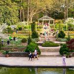 Sarah P. Duke Gardens