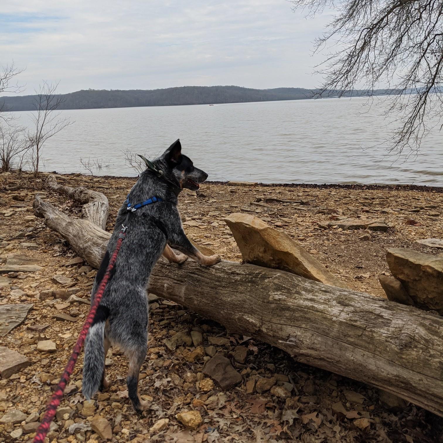 04-Apr-2020, Lake Munroe, IN