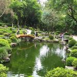 Bosque Los Colomos