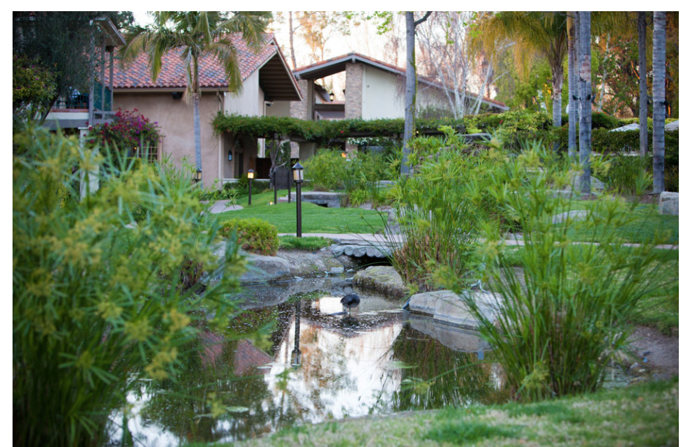 The Wedding Website of Andrew Jewell and Dayna Harary