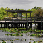Anhinga Trail/Royal Palm Visitor Center