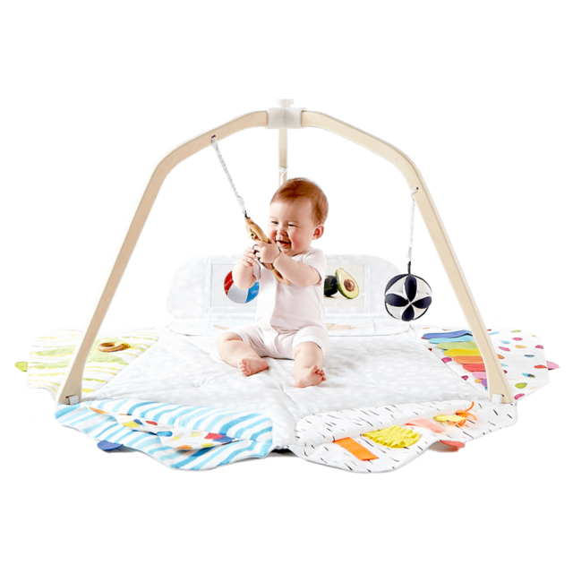 The Play Gym