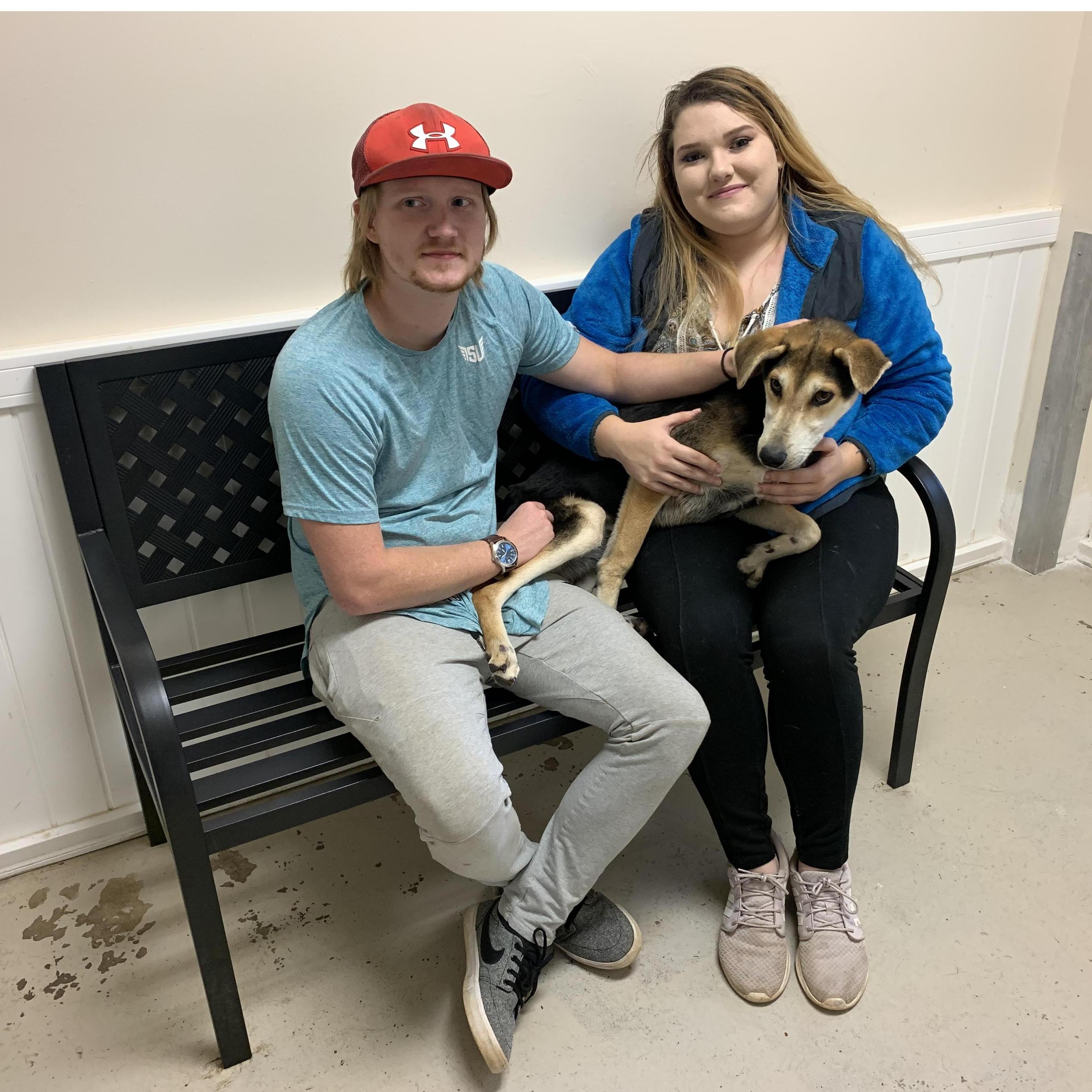 First time adopting a dog