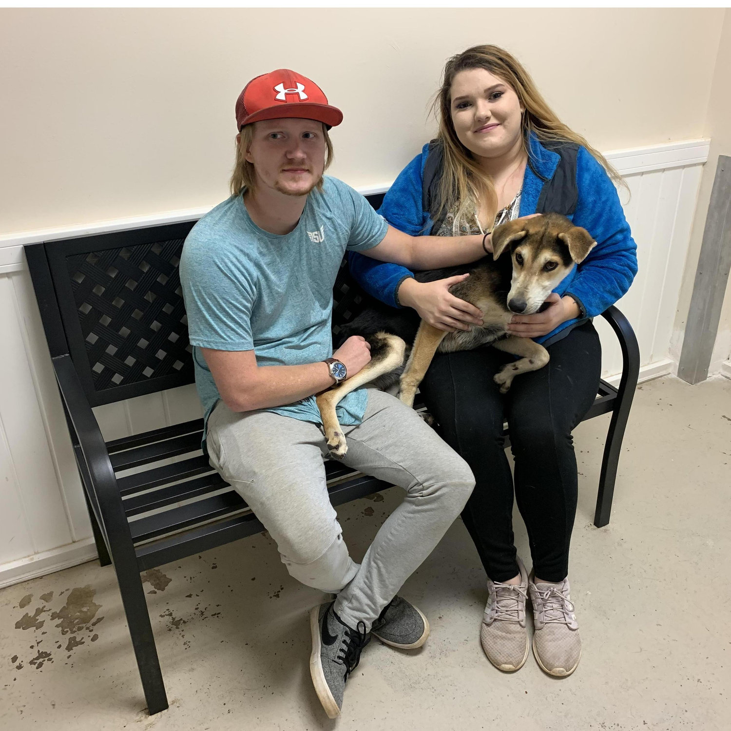 First time adopting a dog
