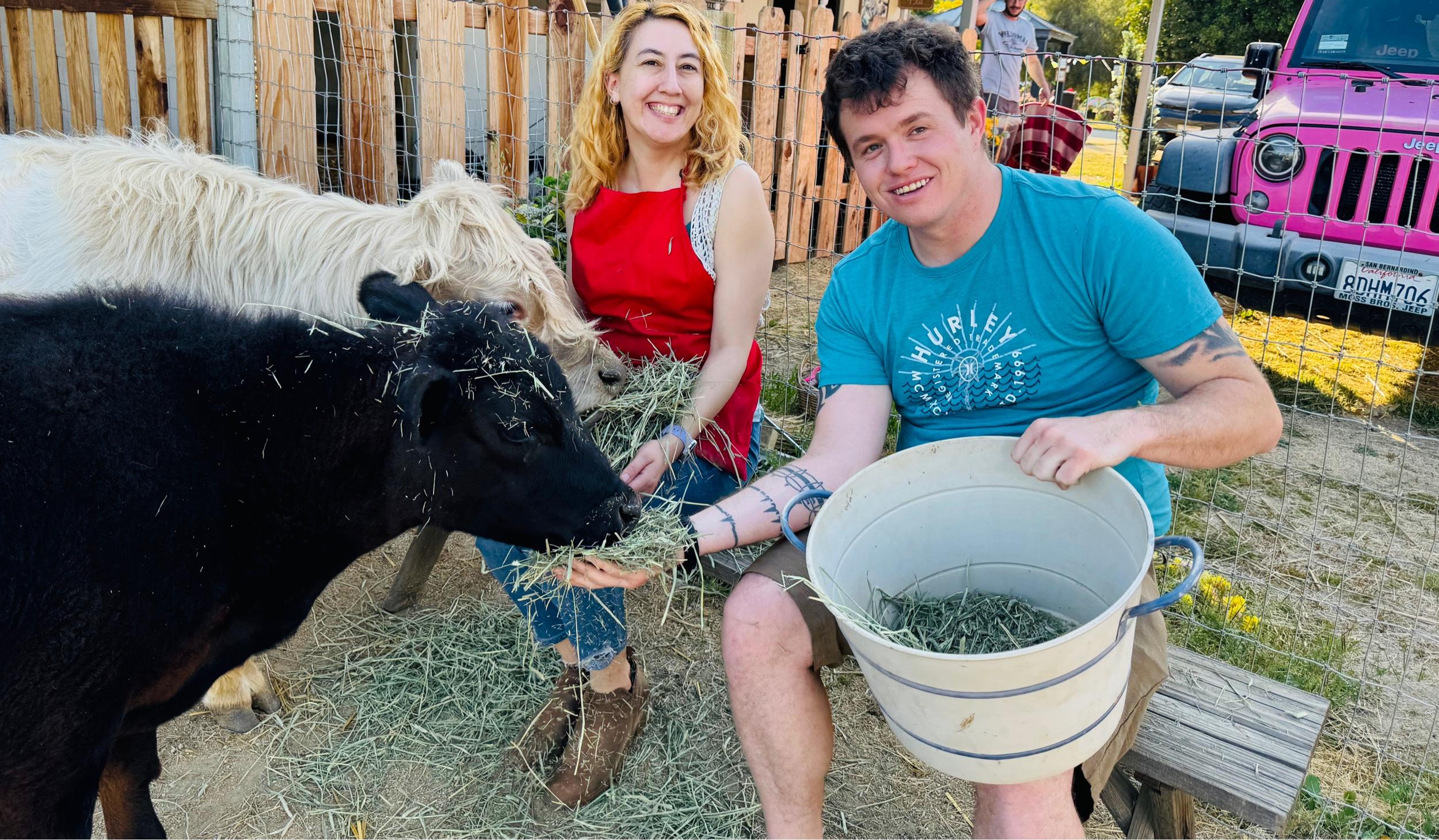 9f77de83-af0a-4e00-9840-238ac63122ba