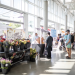 Texas Farmers' Market at Mueller (Sunday morning)