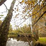 Lady Gregory & Yeats Heritage Trail