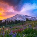 Mount Rainier National Park