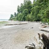 Tolmie State Park