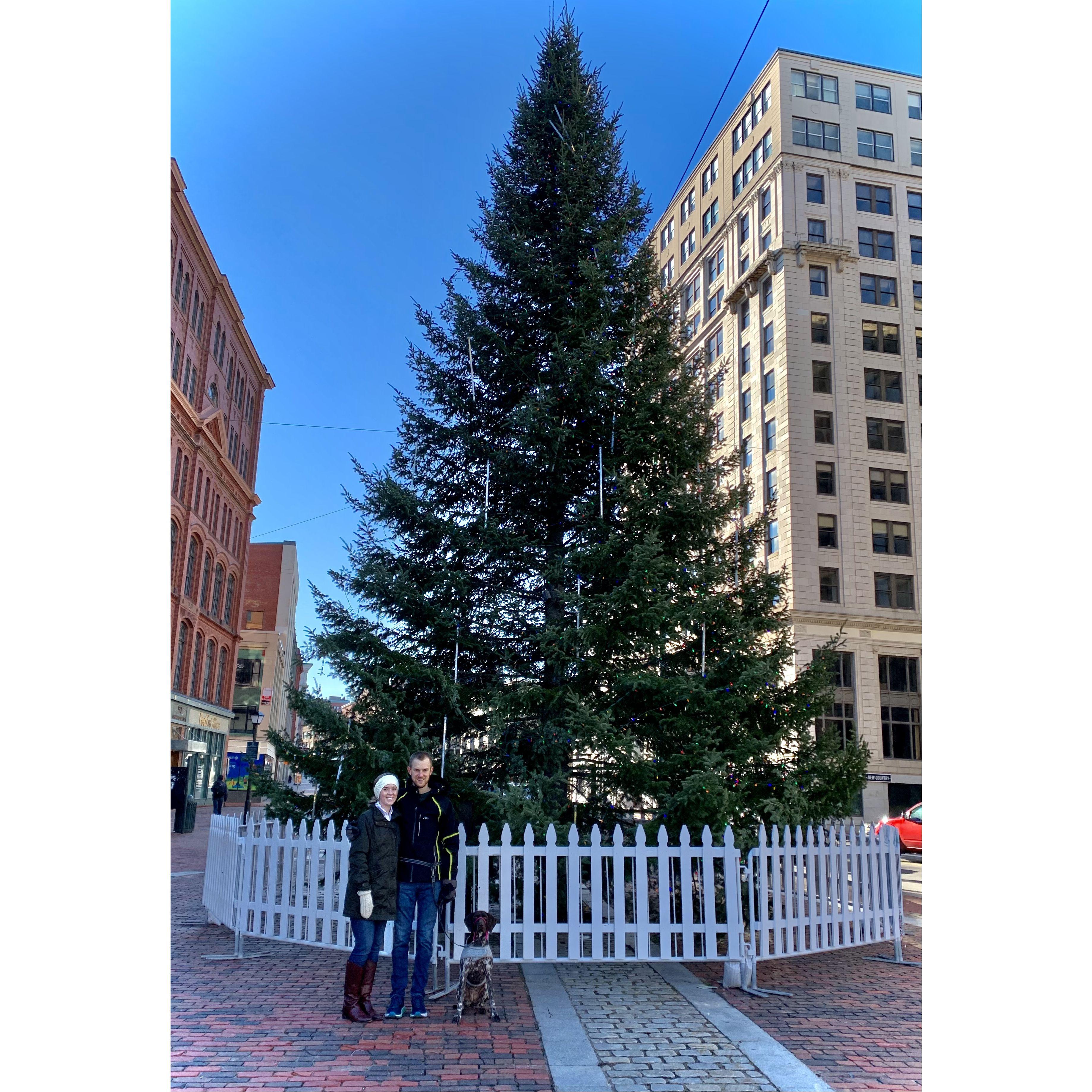 Christmas in Portland, ME!
