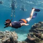 Try Snorkeling and Scuba Diving - San Juan