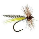Cast a Line - Fly Fishing