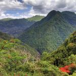 El Yunque National Forest