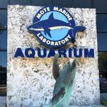 Mote Marine Laboratory & Aquarium