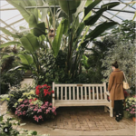Luthy Botanical Garden
