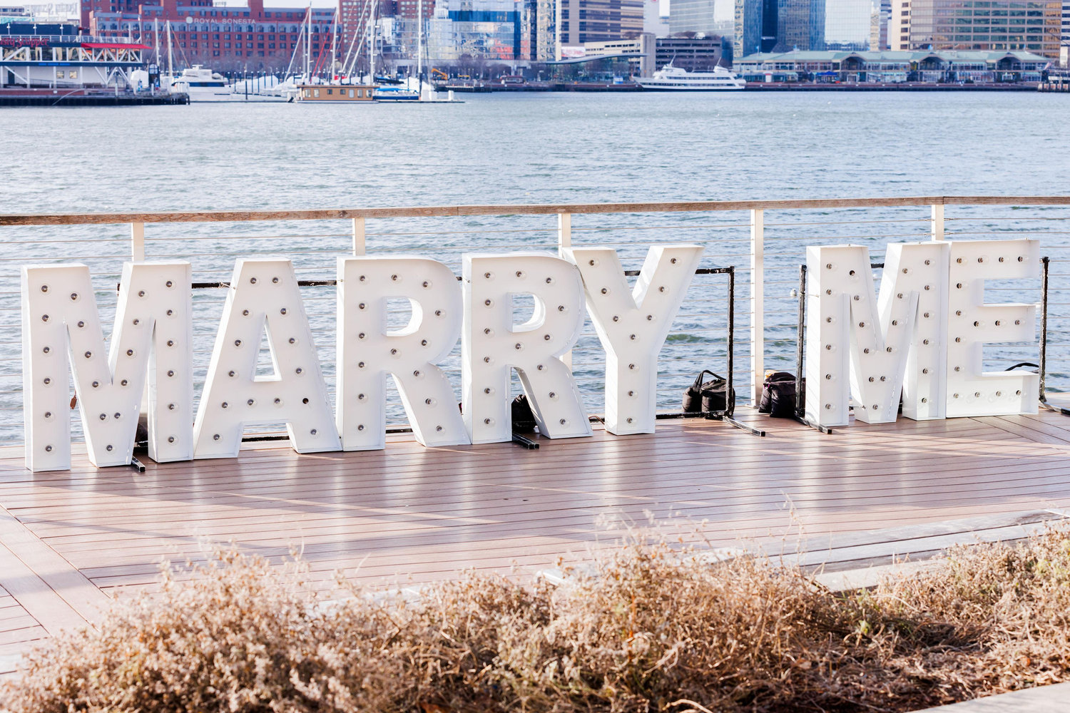 The Wedding Website of Chelsea Silbiger and Dylan Karlin