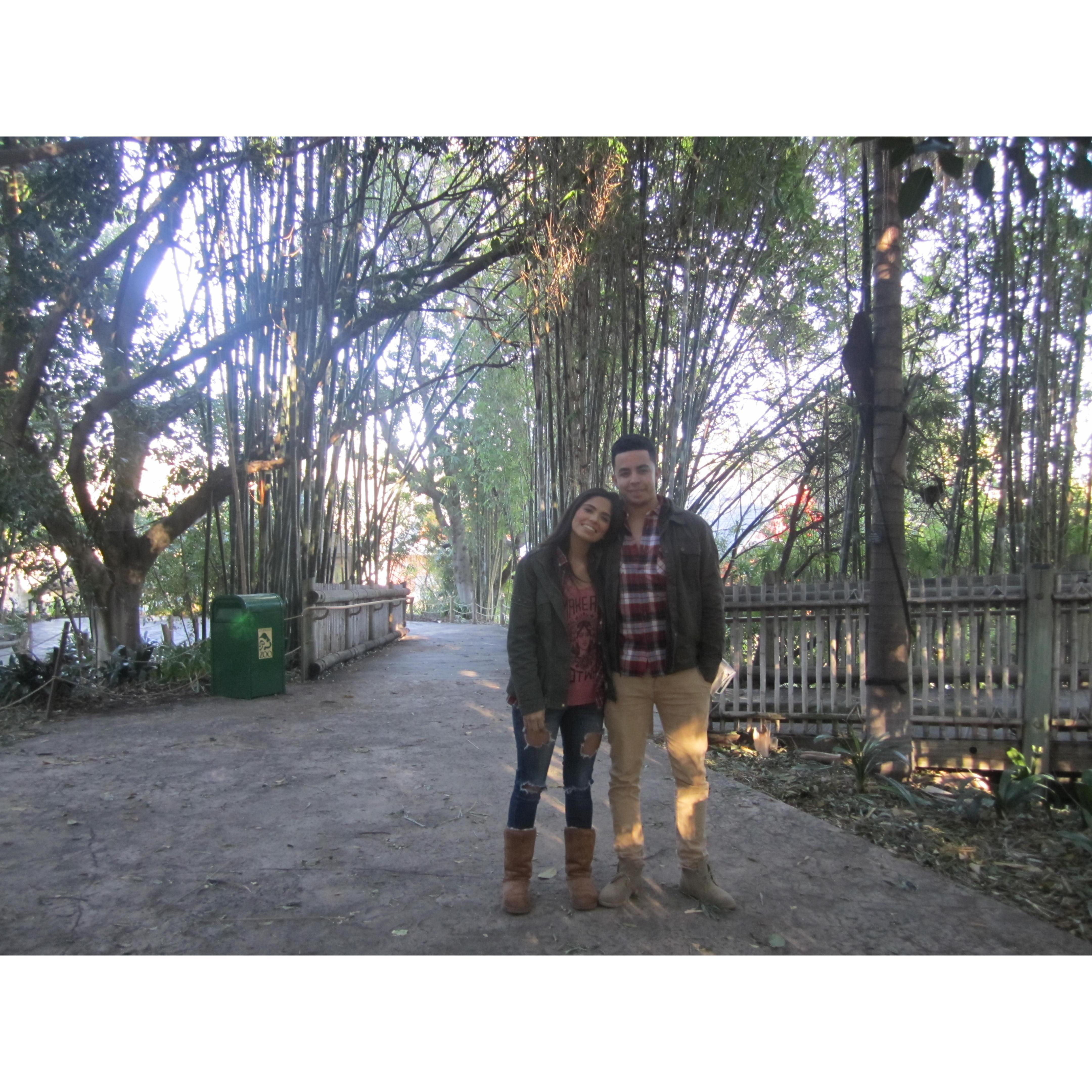 Los Angles Zoo, 2011