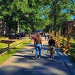Historic Allaire State Park
