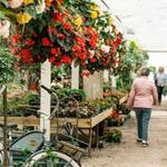 Christianson's Nursery
