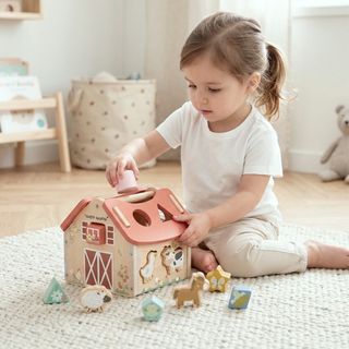 Funny Farm Shape Sorter