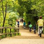 Lady Bird Lake Trail