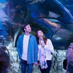 SEA LIFE Aquarium Minnesota at Mall of America