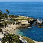 La Jolla Village & Cove