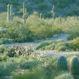 San Tan Mountain Regional Park