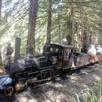 Redwood Valley Railway (Tilden Steam Train)