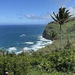 Pololū Valley Lookout ⸺ VIEWPOINT/HIKE