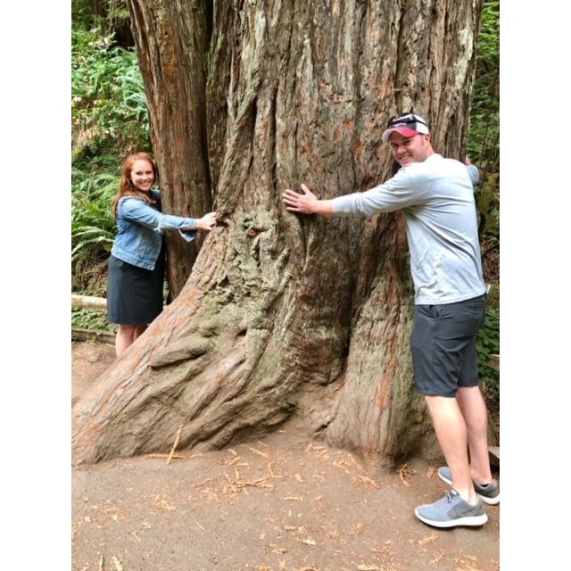 The Redwood National Forest was one of our favorite places to visit during the Dowds' trip to California.