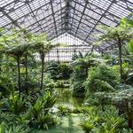 Garfield Park Conservatory