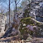 Moss Rock Preserve