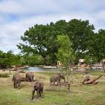 Sedgwick County Zoo